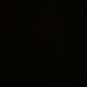 Meet your Posher, Chase